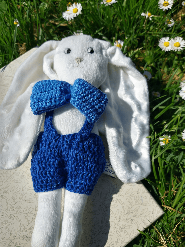 LAPINOU
