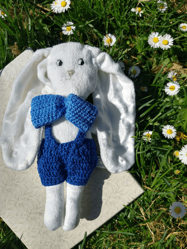 LAPINOU